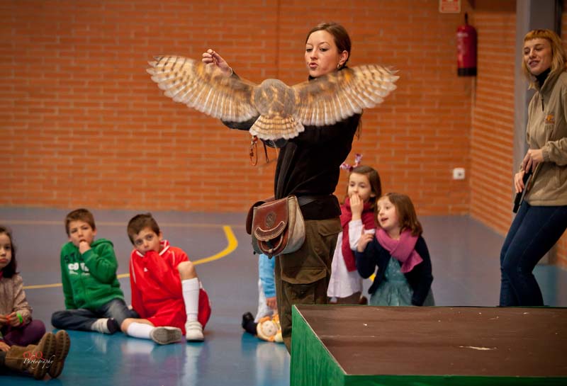 Semana Ciencias en Los Tilos